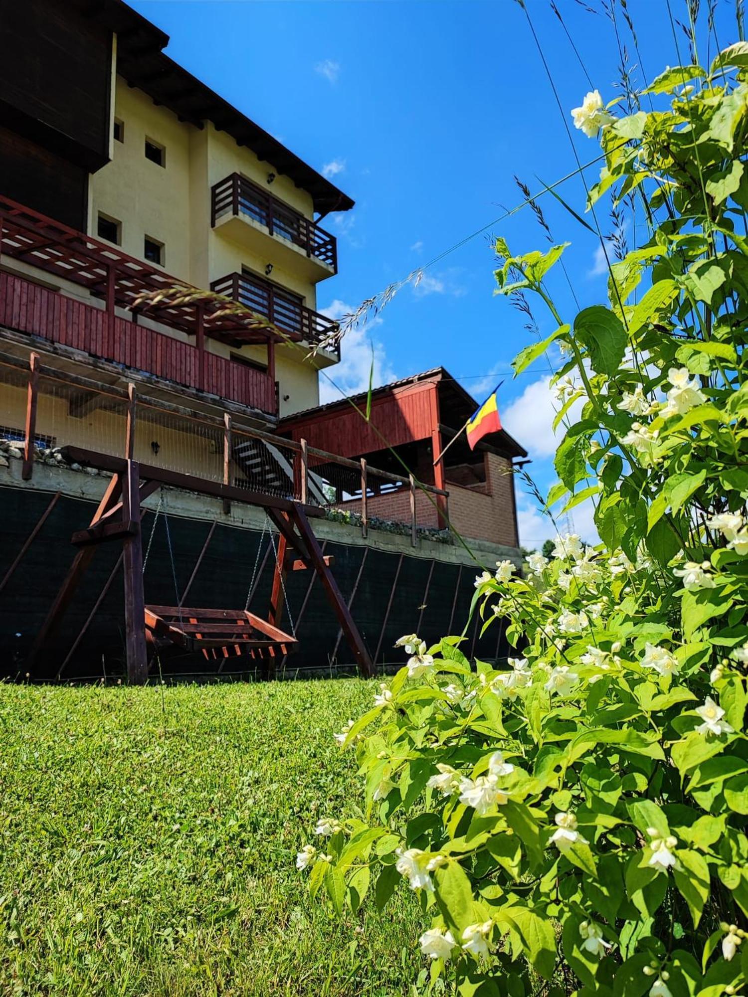 Pensiunea Daria Fundata Exterior photo